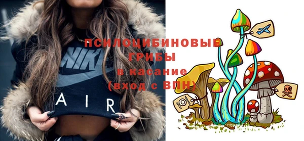 мяу мяу мука Медногорск