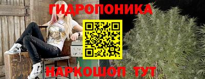 гашик Беслан
