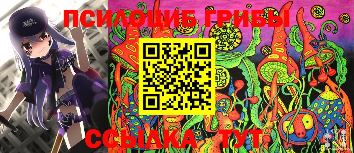 Псилоцибиновые грибы Cubensis  Дзержинск 