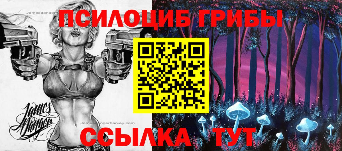 Псилоцибиновые грибы MAGIC MUSHROOMS Дзержинск